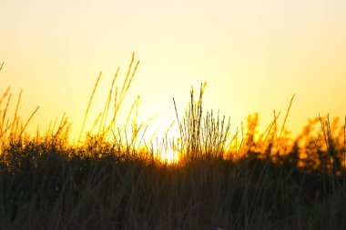  Siyah ve turuncu arka plan, gün batımı