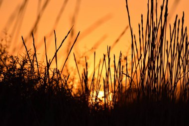  Siyah ve turuncu arka plan, gün batımı