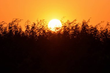  Siyah ve turuncu arka plan, gün batımı