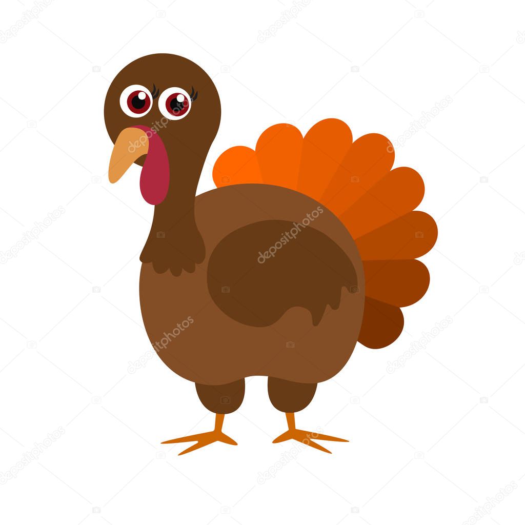 Turkey bird, flat, vector illustration