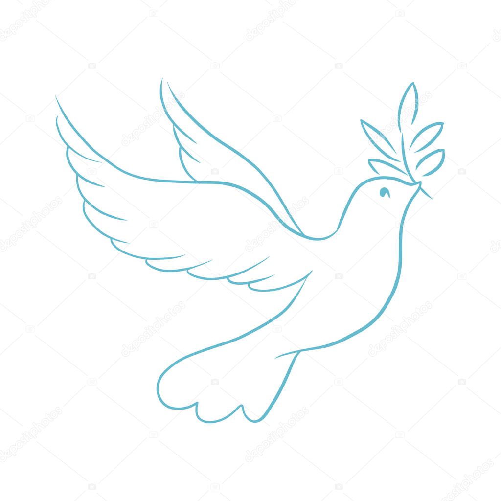 Beautiful, line sketch, dove, bird, vector illustration