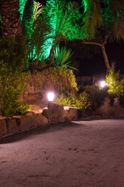  Palmiye, ağaç, gece bahçesi, doğa arka plan, Kıbrıs, Mağusa