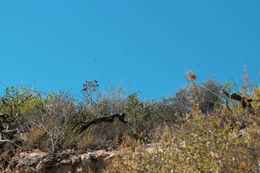 Güzel deniz manzarası, Kıbrıs, Yaz