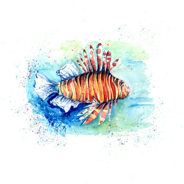 Aquarelle Ζωγραφική Των Ψαριών Σκίτσο Τέχνης Εικονογράφηση — Φωτογραφία Αρχείου