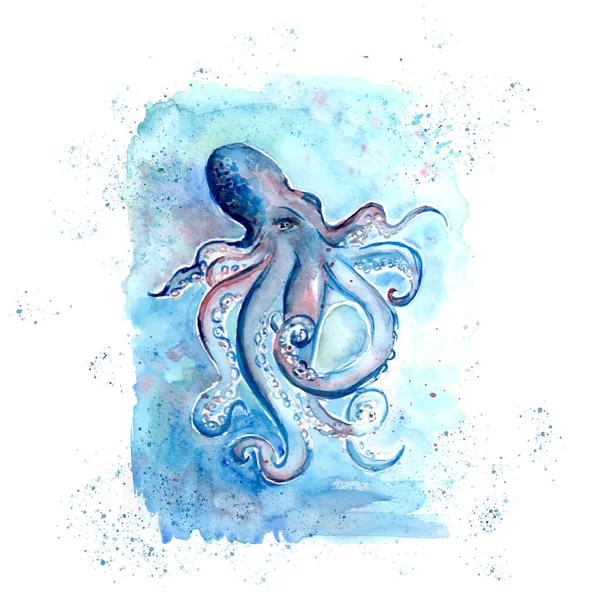 Aquarelle Painting Octopus Sketch Art Pattern Illustration — Stock Photo, Image