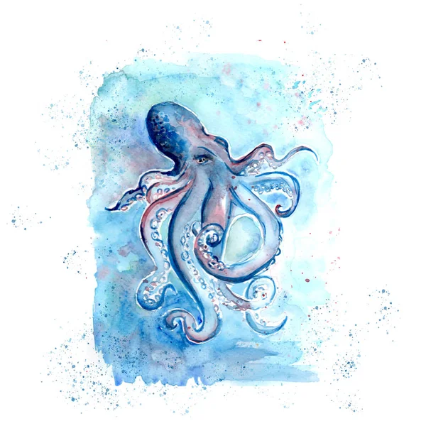 Aquarelle Pintura Pulpo Dibujo Ilustración Del Patrón Arte — Foto de Stock