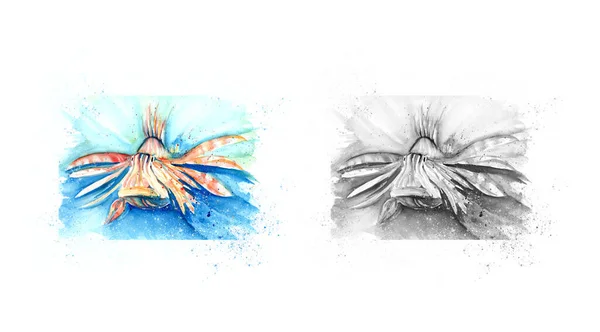 Aquarelle Ζωγραφική Του Lionfish Σκίτσο Τέχνης Εικονογράφηση — Φωτογραφία Αρχείου