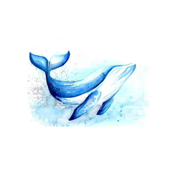 Aquarelle Pittura Balena Schizzo Arte Illustrazione — Foto Stock
