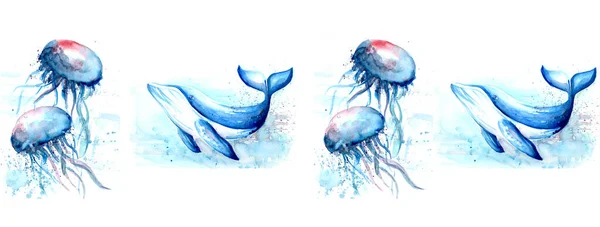 Aquarell Målning Maneter Val Skiss Konst Illustration — Stockfoto