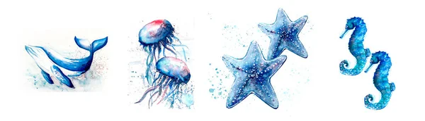 Aquarell Målning Maneter Val Skiss Konst Illustration — Stockfoto