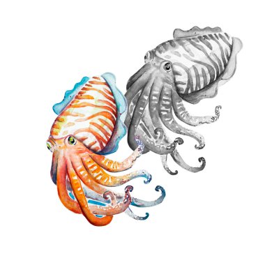 Balık eskizinin Aquarelle tablosu