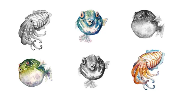 ภาพวาด Aquarelle ของปลาภาพวาดสเก ลปะ — ภาพถ่ายสต็อก