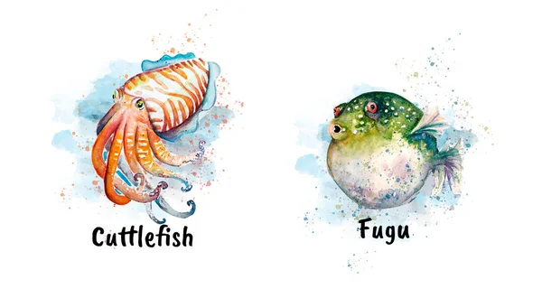 Aquarelle Pintura Peixe Esboço Arte Ilustração — Fotografia de Stock