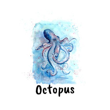 Aquarelle 'in deniz yıldızı çizimi resim çizimi.