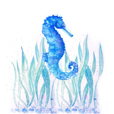 Deniz atı çiziminin Aquarelle tablosu