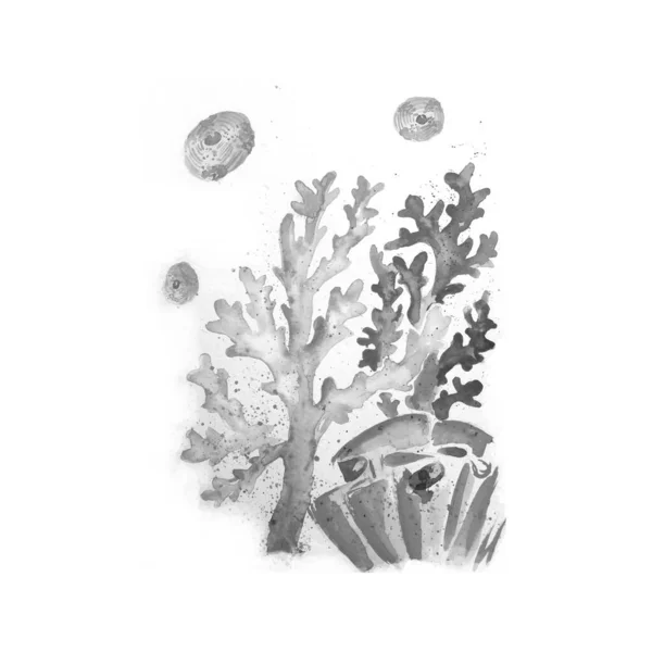 Aquarelle Pintura Coral Marino Dibujo Patrón Arte Ilustración —  Fotos de Stock