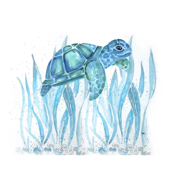 Aquarelle painting of turtle sketch art pattern illustration