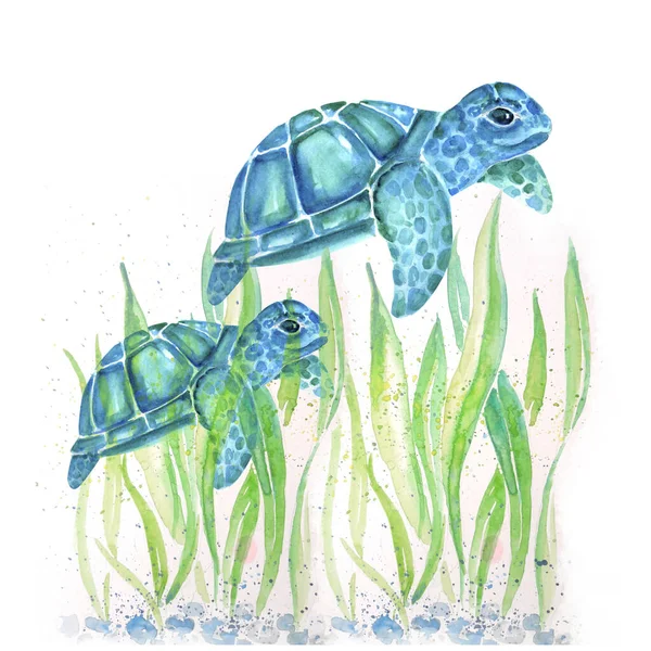 Aquarelle Schilderij Van Schildpad Schets Kunst Patroon Illustratie — Stockfoto