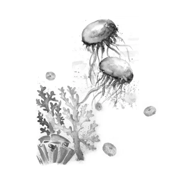 Aquarelle Painting Jellyfish Sketch Art — стокове фото