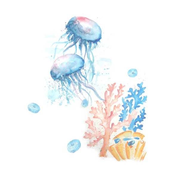 クラゲのスケッチアートイラストのアクエレル絵 — ストック写真
