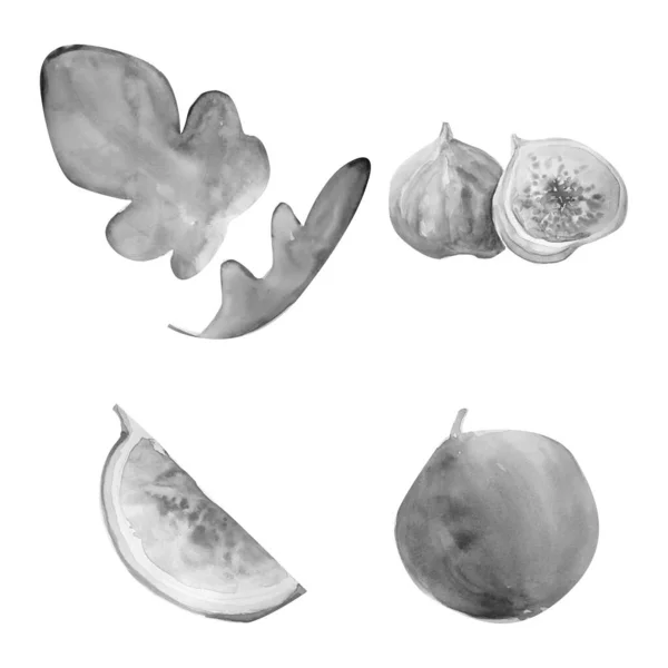 Aquarelle Målning Fig Skiss Konst Illustration — Stockfoto