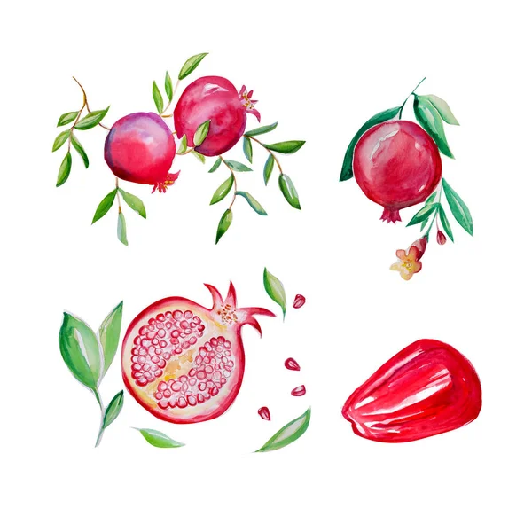 Aquarelle Painting Pomegranate Sketch Art — стокове фото