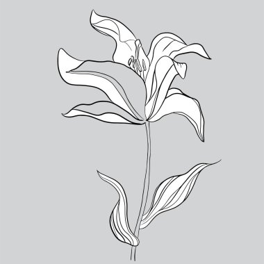 El çizimi siluet arka plan. Vektör çiçekler. Tasarım elementi.