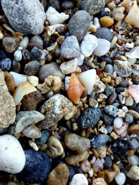 Güzel deniz taşı dokusu, arka plan.