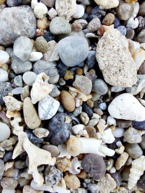 Güzel deniz taşı dokusu, arka plan.