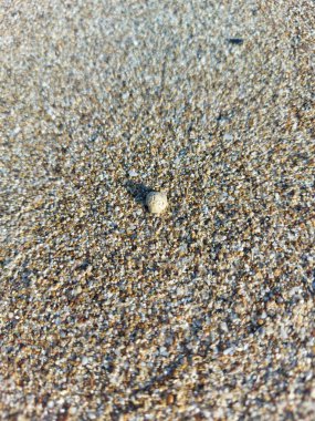 Güzel deniz taşı dokusu, arka plan.