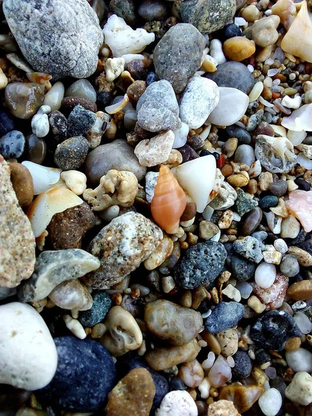 Güzel deniz taşı dokusu, arka plan.