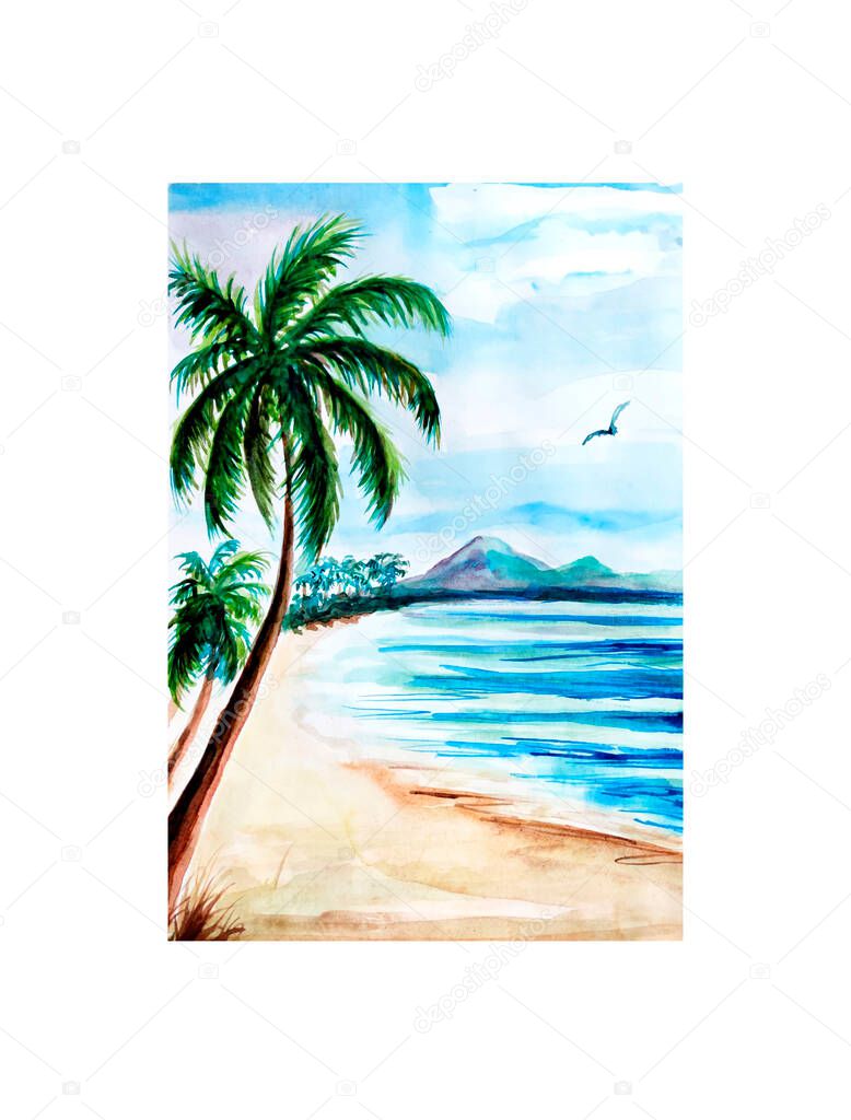 Aquarelle painting of palms. Hand drawing, illustration art.