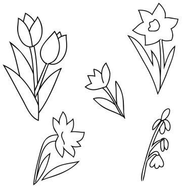 Lale çiçeğinin vektör kümesi