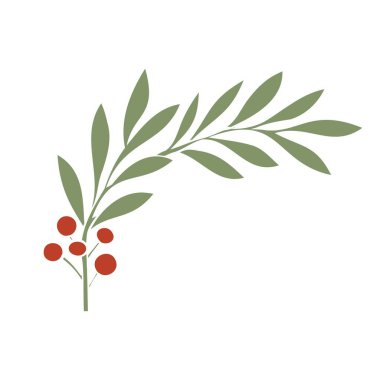 Beyaz arkaplanda kırmızı böğürtlen ve dallar