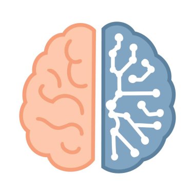 Beyin ve beyin ikonu. Beyazda izole edilmiş beyin vektör simgesi rengi