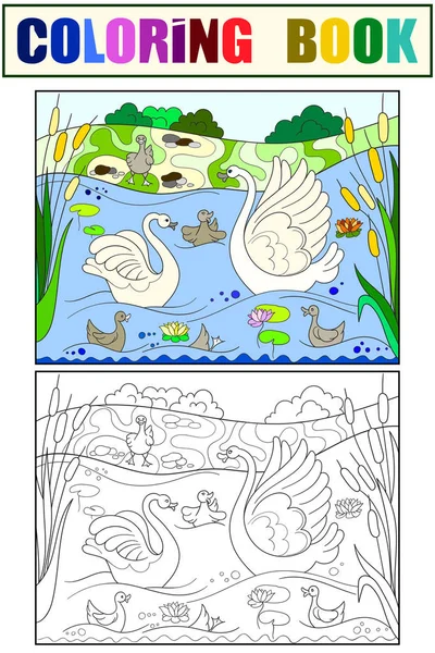 Los niños para colorear libro y color de dibujos animados de la familia de Swan en la naturaleza . — Vector de stock