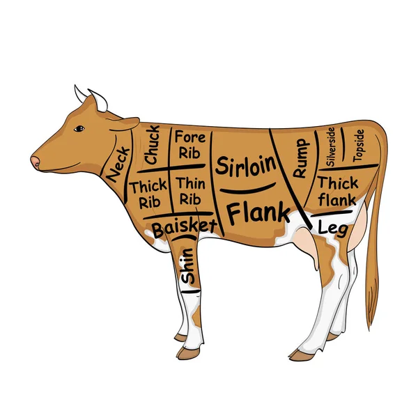 Elkülönített objektum fehér háttér. A tehén részére az étterem részből, bika marha hasított test, darabok rendszer. Vektor — Stock Vector