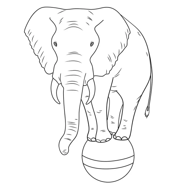 Coloração de objetos isolados, linhas pretas, fundo branco. Um elefante de circo está numa bola. A imitação do estilo cómico. Vetor — Vetor de Stock