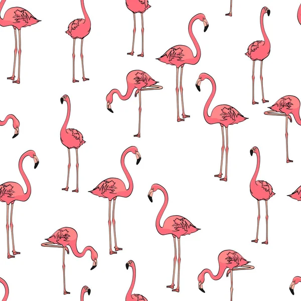 Fundo sem costura, três flamingos cor-de-rosa sobre branco. Vetor — Vetor de Stock