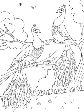 Çocuklar için çizgi film boyama. Bir kuş, bir kuş veya bir ağaç üzerinde bir tavus kuşu tüyü. Aşık Çift.