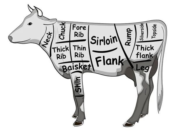 System cięcia tuszy. wektor dla menu w sklepie mięsnym lub restauracji — Wektor stockowy