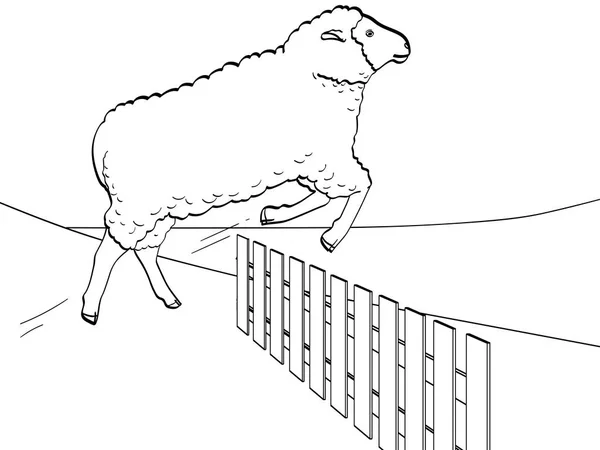 Fundo branco, linhas pretas, a ovelha salta sobre a cerca. A treinar animais na quinta. Vetor — Vetor de Stock