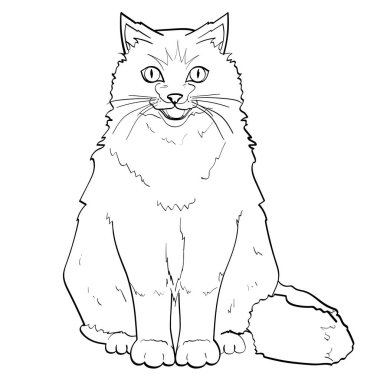 Beyaz arka plan, siyah çizgiler. Pet Siyam kedisi veya Sibirya Neva Masquerade boyama. Vektör