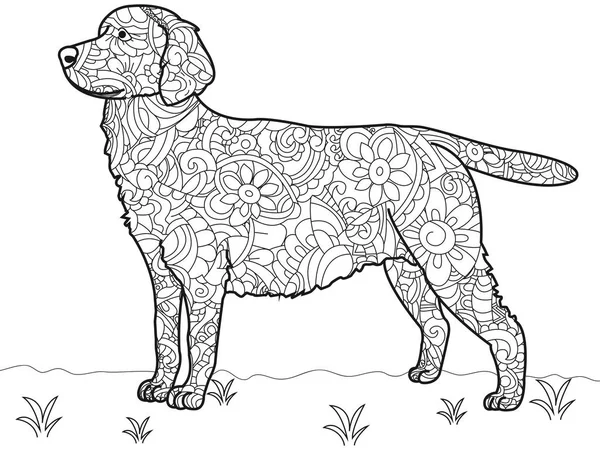 Libro para colorear Perro Labrador Antiestrés. Raster Labrador — Foto de Stock