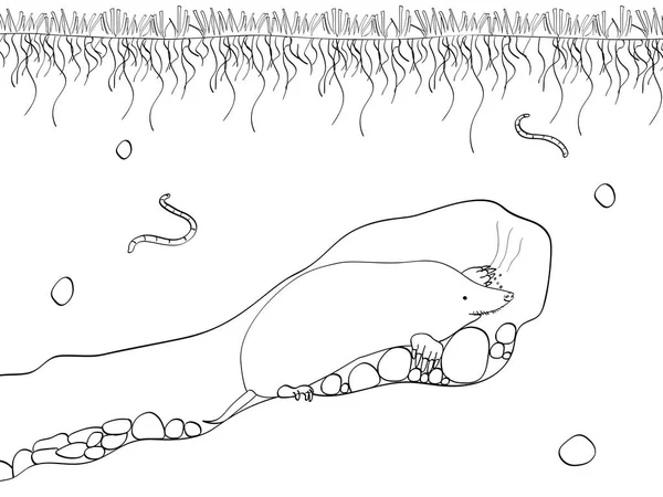 ベクトルは、青い空、草、土、泥、石およびホリネズミ穴と地下土壌と土地のセクションをカットしました。黒線、白背景の着色、. — ストックベクタ