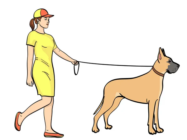 Objeto isolado no fundo branco, cor de verão. Uma mulher com um vestido desportivo, caminha um animal de estimação com uma trela. Grande raça dinamarquesa de cão doméstico . — Vetor de Stock