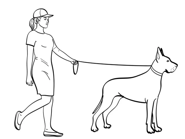 Coloração de objetos isolados, linhas pretas, fundo branco. Uma mulher com um vestido desportivo, caminha um animal de estimação com uma trela. Grande raça dinamarquesa de cão doméstico . — Vetor de Stock
