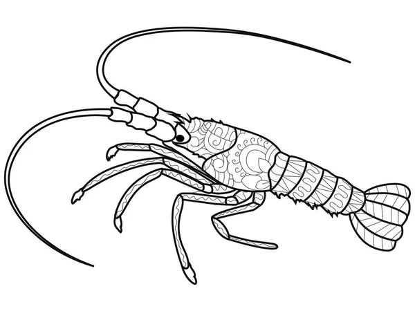 Anti stress boek kleurplaten voor volwassenen. Crustacean op de bodem van de rivier. Kanker of garnalen. Langoesten zwarte lijnen — Stockfoto