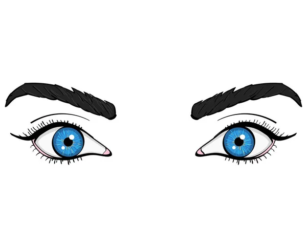 ビザ、顔の解剖学。目は、女性の青です。ベクトル — ストックベクタ