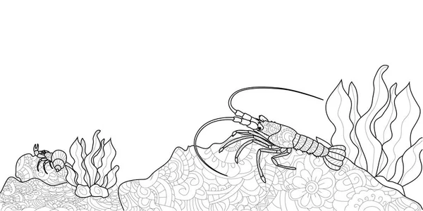 Anti stress coloring book for adults. Crustacean on the bottom of the river. Cancer or shrimp. Crawfish Black lines — Stock Photo, Image